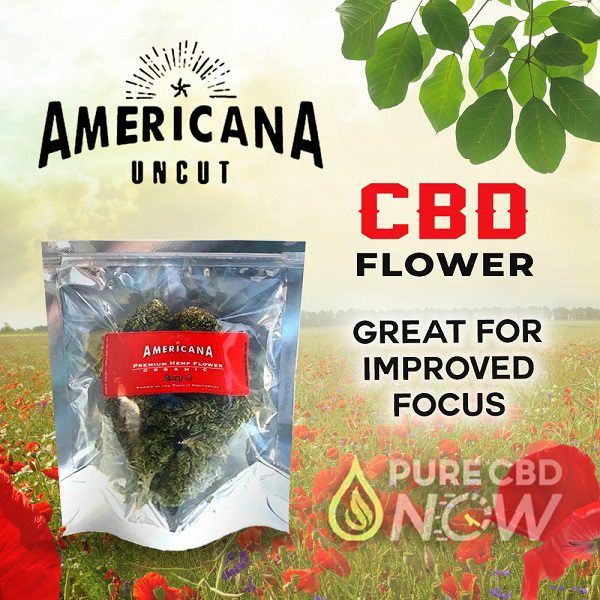 Buy CBD Flower Buds Suzy-Q